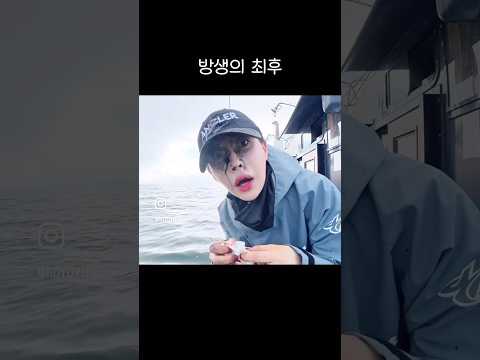 살려주려 했는데 #쭈갑낚시#갑탐사