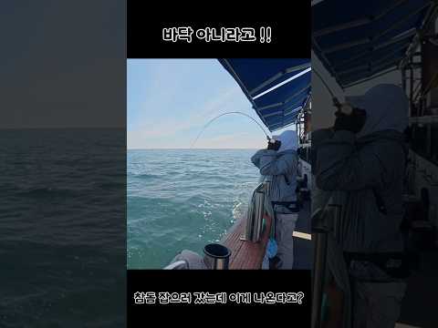 참돔 잡으러 갔는데 이게 나온다고? #fishing